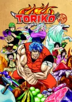 TORIKO - INTÉGRALE 43 TOMES