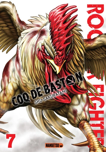 Rooster Fighter - Coq de Baston 7